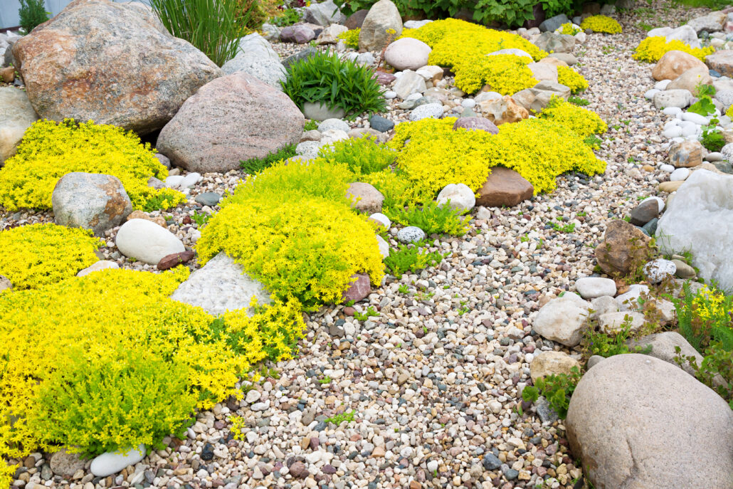 landscaping rock installation in Brighton CO