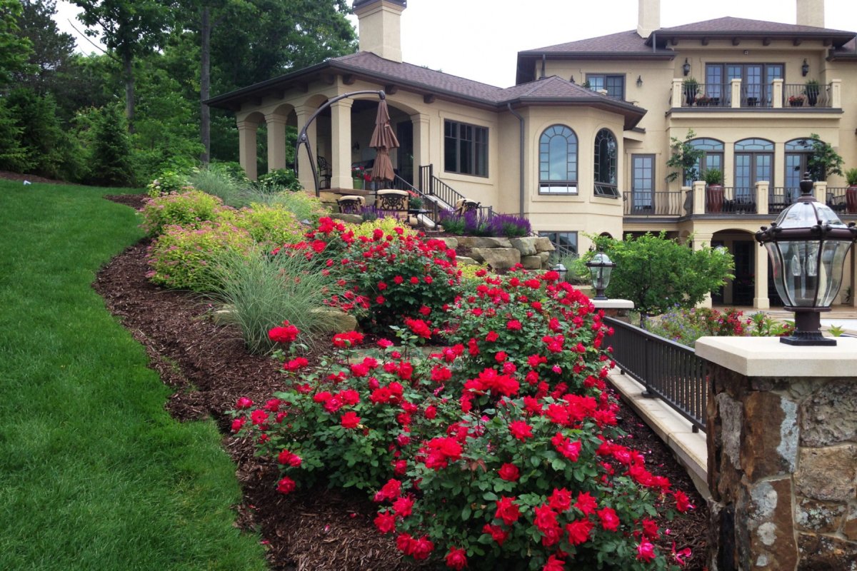 Brighton landscaping company
